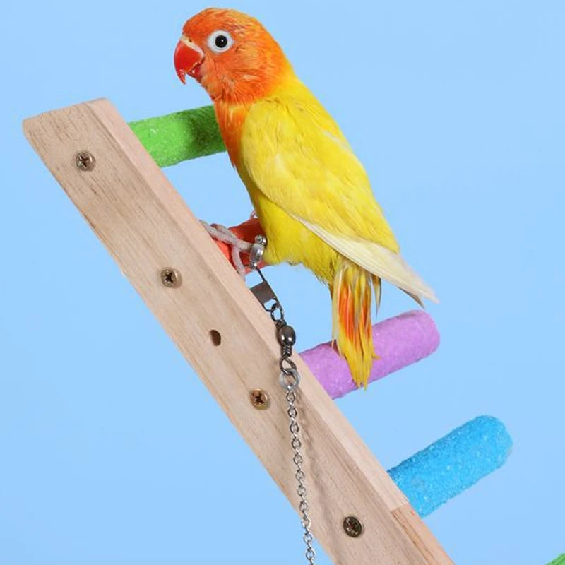 4/6/8 Step Bird Climbing Ladder, Parrot Toy, Ladder, Fun Climbing, Toys Wooden Exercise Rack and Bird Interaction