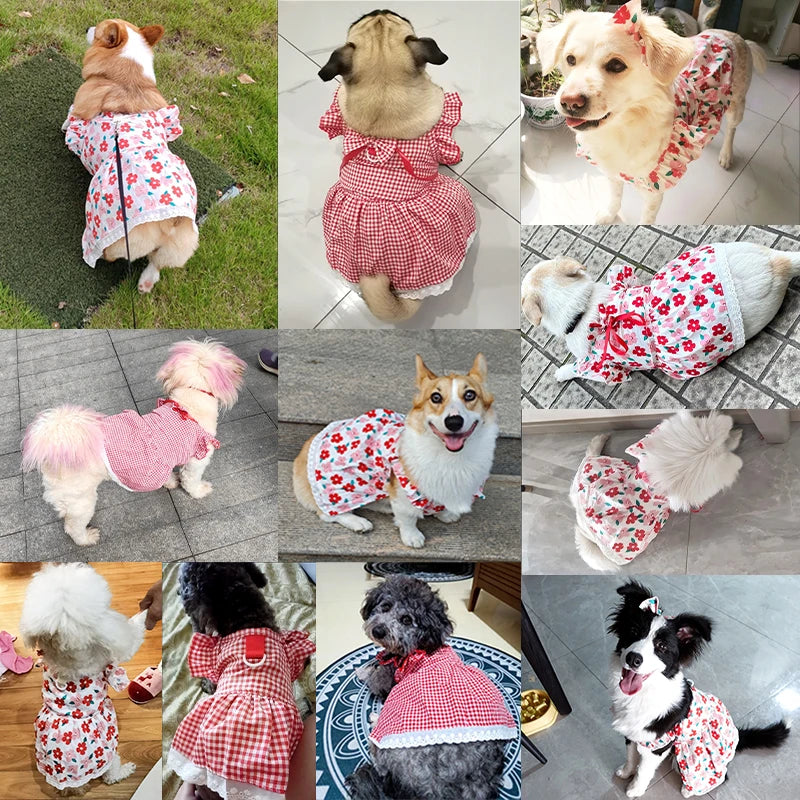 Summer Pet Dress,  Floral Pattern Plaid Skirts, Cat Princess Dresses, also look adorable on Chihuahuas, Yorkies and other small animals, Sweet Skirts, Puppy Dog Costume, Pet Supplies