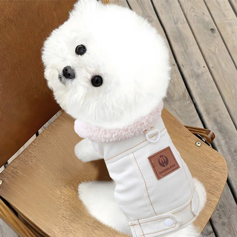 Fashion Denim Dog Down Jacket, Warm Soft Pet Dog Clothes, Winter Puppy Jacket, Coat Thick, Cat Vest Coat Yorkshire Pet Apparel