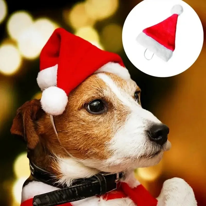 1-20PCS Christmas Pet Hat Small Dog Santa Costume Cosplay Outfit Festive Pet Clothes New Year Holiday Party Decoration Supplies
