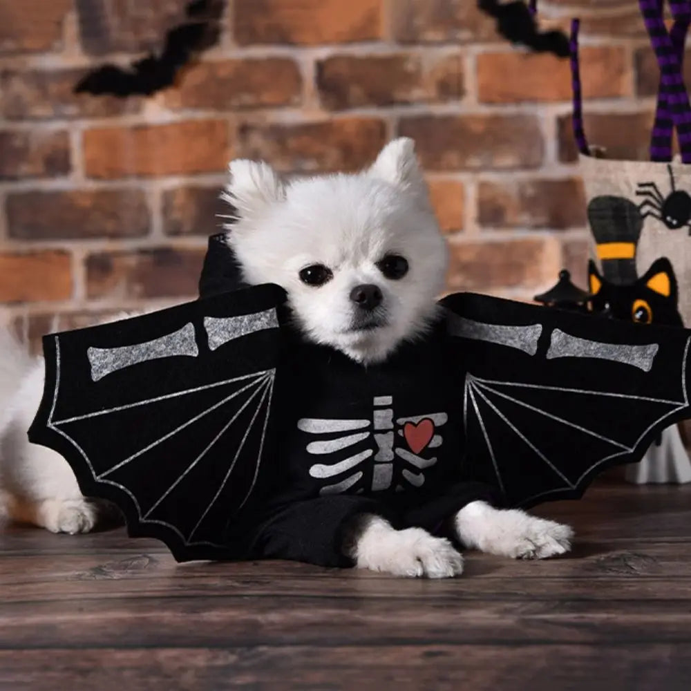 Funny, Decorative Dog Bat Costume,  Breathable Black Pet Cosplay Costume, Wear Resistant Halloween Pet Bat Costume