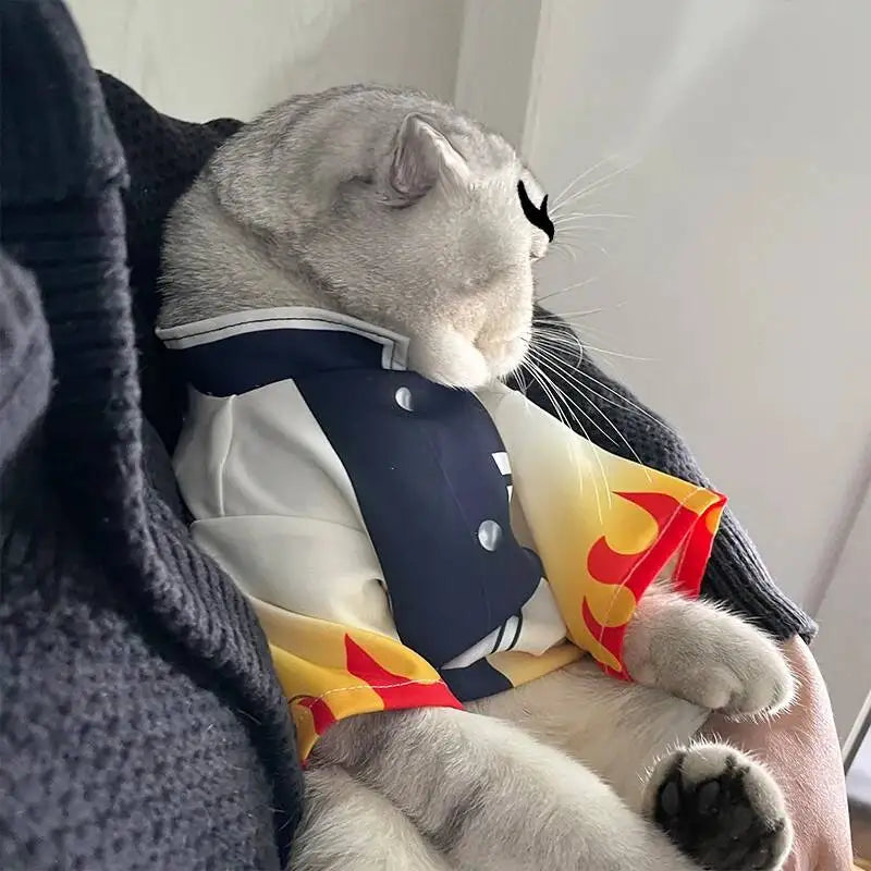 Halloween Pets Cosplay, Pet Cosplay, Cat Clothes Dog Ghost Team Pets
