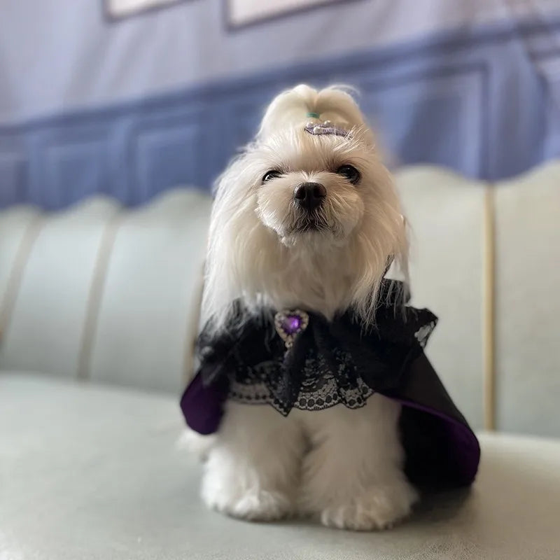 Handmade Dog Clothes, Pet Supplies Halloween Costume, Dark Witch Cloak Lace Neckerchief Festival Holiday Party Puppy Terrier