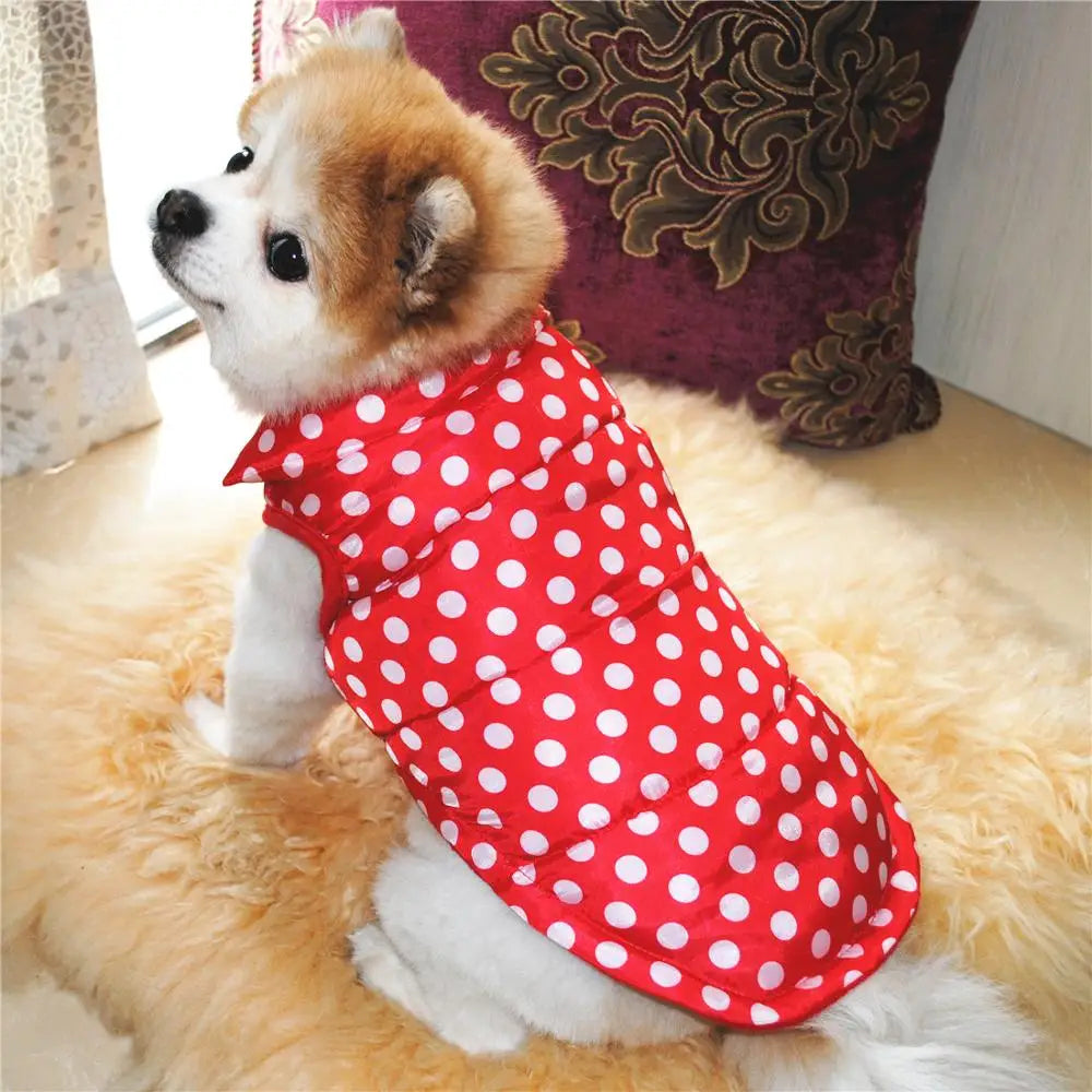 Winter Pet Clothing for Dogs.  It's also great idea for a halloween Costume as a Vest Apparel For Dogs,  such as chihuahua, yorkie and even large pets. Coat Jacket Puppy Pet Dog Chihuahua Jacket Dogs Clothing