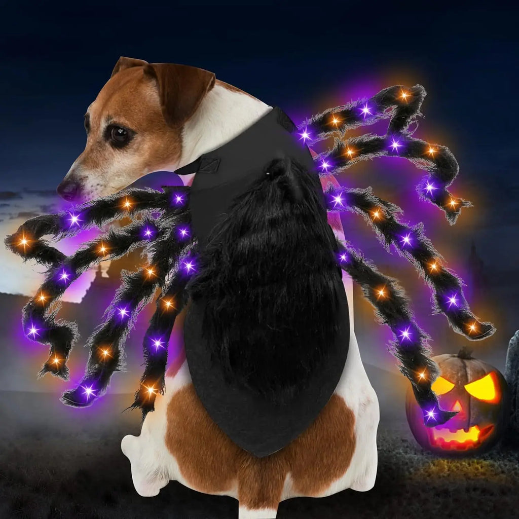 Halloween LED Lighting Spider Dog Costume, Pet Costumes, Funny  Cosplay Accessories, Unique Doggy Dress Up Party Clothes
