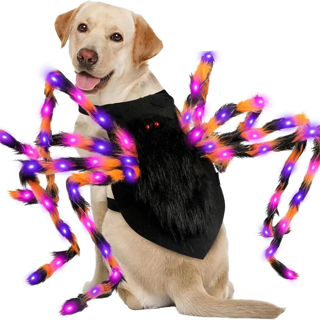Halloween LED Lighting Spider Dog Costume, Pet Costumes, Funny  Cosplay Accessories, Unique Doggy Dress Up Party Clothes