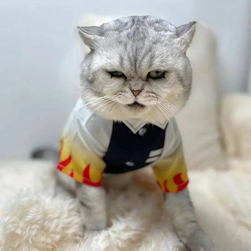 Halloween Pets Cosplay, Pet Cosplay, Cat Clothes Dog Ghost Team Pets