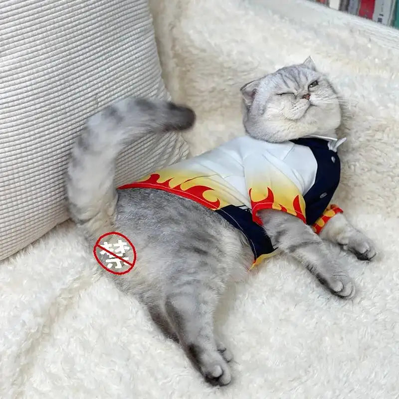Halloween Pets Cosplay, Pet Cosplay, Cat Clothes Dog Ghost Team Pets