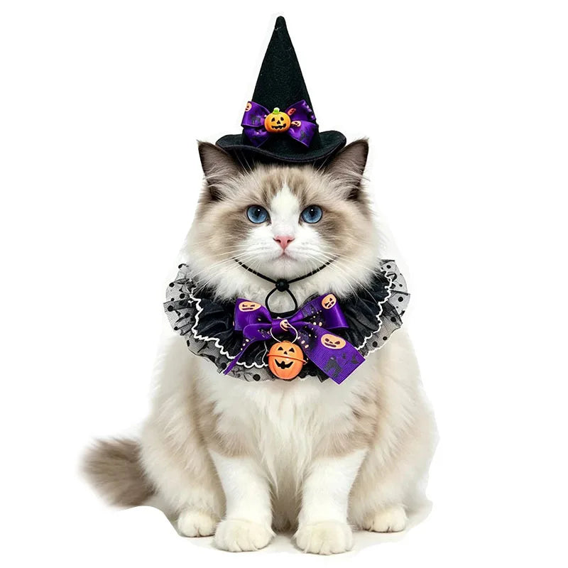 Halloween Pet Costume Set for a Witch, Hat Bandana Costume, Scarf, Cute Halloween Cosplay for Cats, Small Dogs, Kittens, Cats and Puppy Party Photo Prop