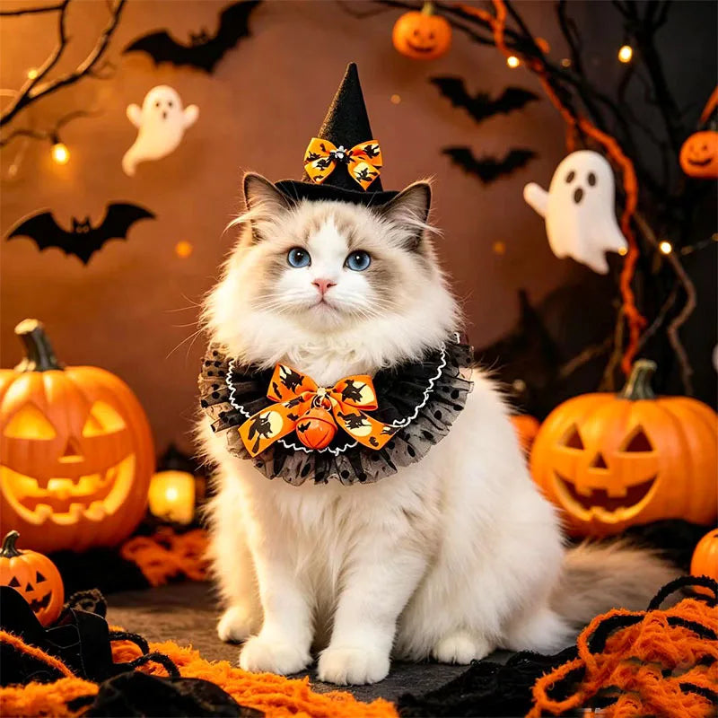 Halloween Pet Costume Set for a Witch, Hat Bandana Costume, Scarf, Cute Halloween Cosplay for Cats, Small Dogs, Kittens, Cats and Puppy Party Photo Prop