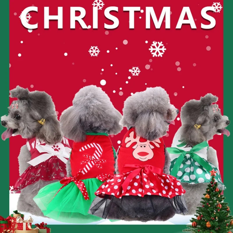 Various Christmas and Halloween Costumes.  We have everything from a  Princess Skirt,  Bat Print Costume, Fashion Bow Dresses, and Fancy Pet Outfits. Fits cats, dogs and puppies.