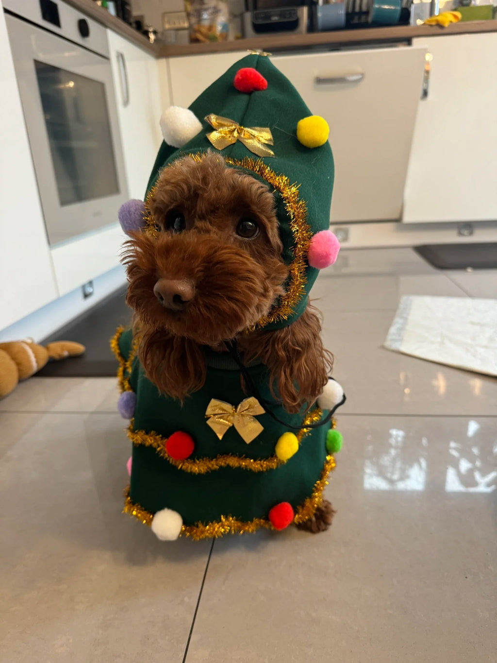 Dog Christmas Cape, Cute Cat Costume Christmas Role-playing Party