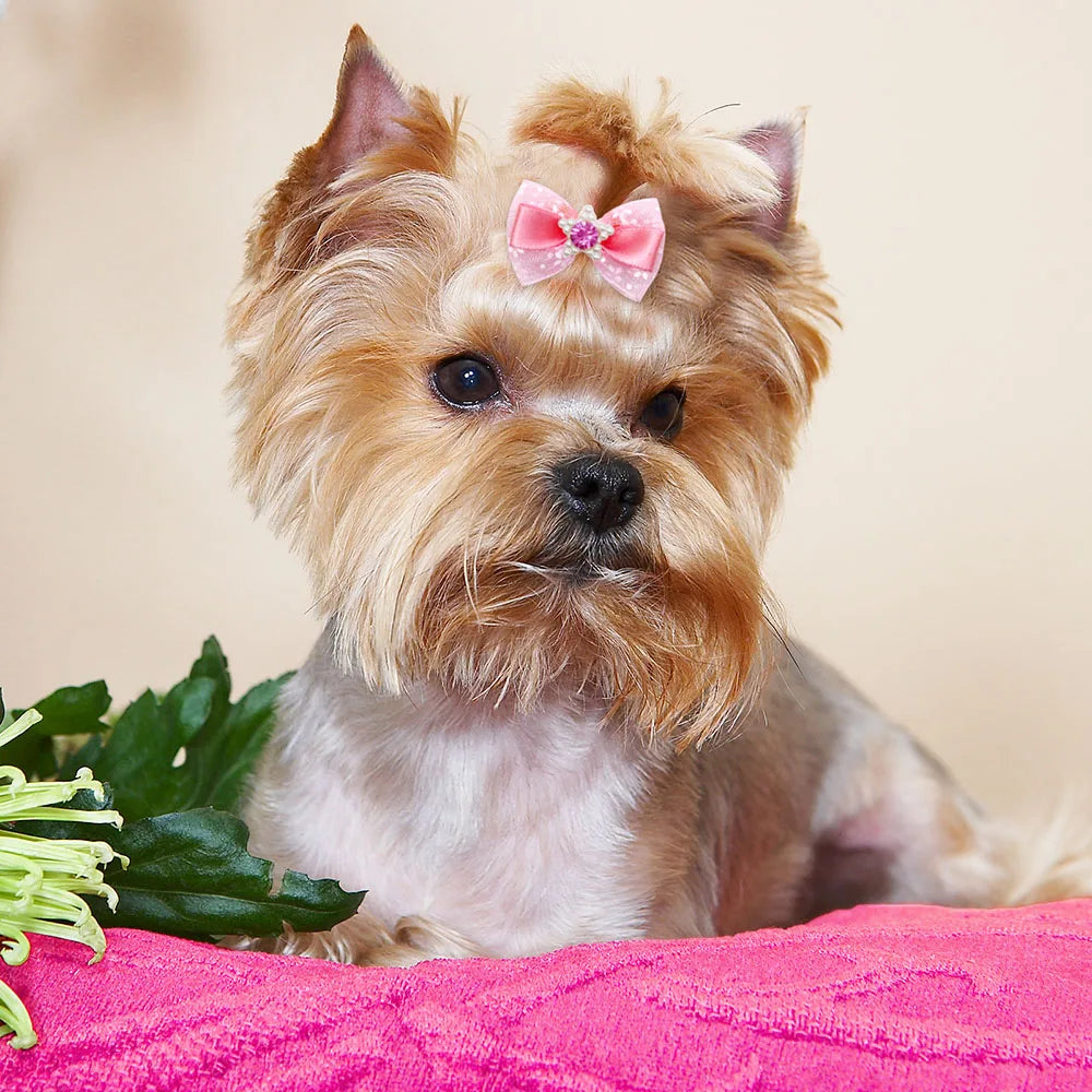 10/20PCS Pink Style Dog Bows With Rubber Bands, Diamonds Cute Dog Bowknots Hair Accessories For Dogs, Pets and Puppy Bows
