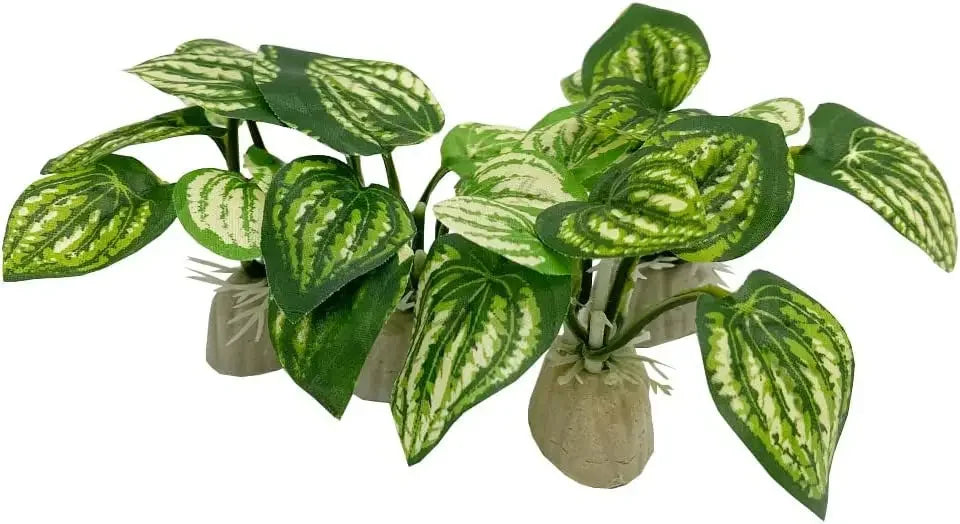 Aquarium Ornaments, Simulation Plants, Fish Tank Landscaping Decorations, Plastic Water Plants, Flowers, Trees, Rocks,and Accessories