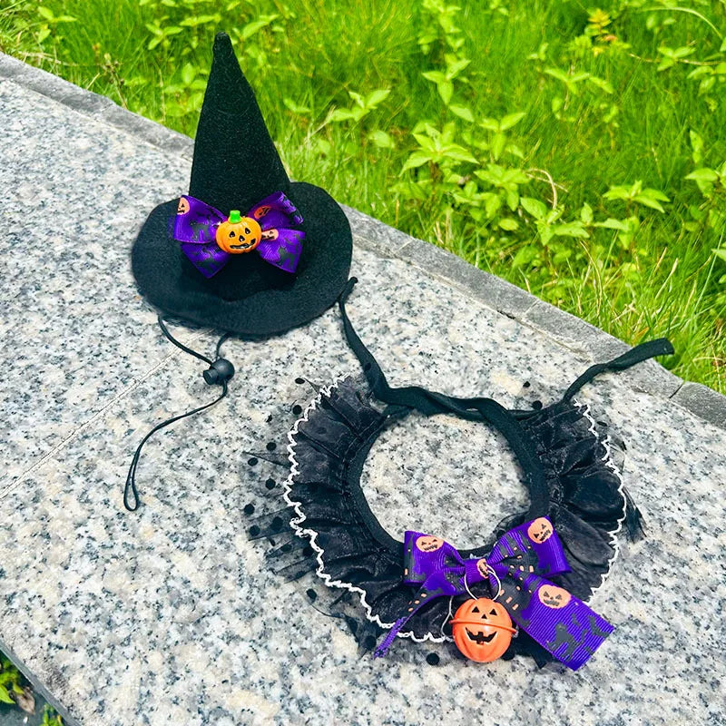 Halloween Pet Costume Set for a Witch, Hat Bandana Costume, Scarf, Cute Halloween Cosplay for Cats, Small Dogs, Kittens, Cats and Puppy Party Photo Prop